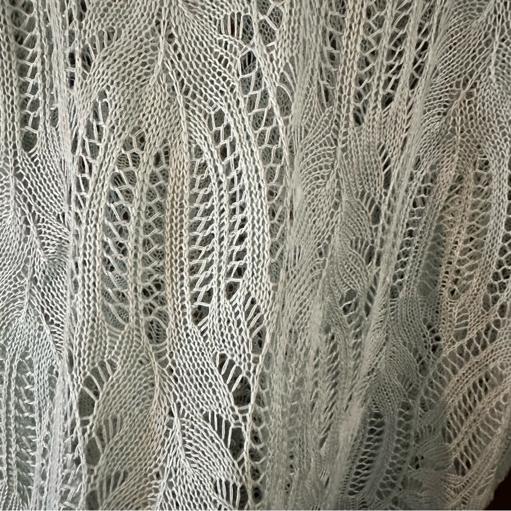 Paige Danielle Mint Green Crochet Lace Women’s Short Sleeve Top Sz XL Boho - Picture 5 of 9